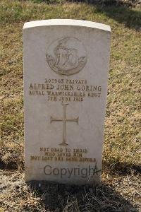 Ismailia War Memorial Cemetery - Goring, Alfred John